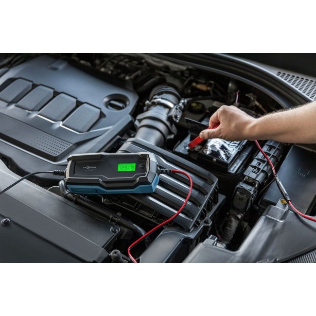 Ansmann 1001-0145 vehicle battery charger 6 - 14 V Black