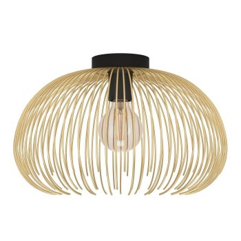 EGLO 900165 ceiling lighting E27 40 W