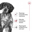 ROYAL CANIN Medium Ageing Loaf - wet dog food - 410g