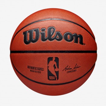 Wilson NBA Authentic Indoor & outdoor Brown