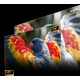 Hisense C3 DLP UHD 4K (3840x2160) 3D Silver