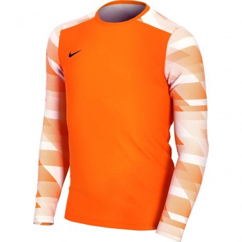 Nike Dry Park IV JSY LS GK JUNIOR Goalkeeper Sweatshirt orange CJ6072 819 S