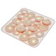 Adler AD 6660 Mushroom and fruit dryer Adler AD 6660 Mushroom and fruit dryer