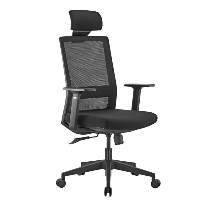 Premium Ergonomic Office Chair with High Back Ergo Office, max 150kg, ER-425