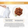 GOURMET GOLD - Casserole duck and turkey 85g