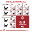Royal Canin Feline Fit 2kg cats dry food Adult