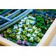 LEGO ART 31220 Claude Monet - Bridge over a Pond of Water Lilies