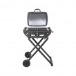 1-burner gas barbecue eesa BBQ 1000 1-burner gas barbecue eesa BBQ 1000