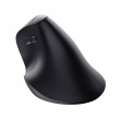 Trust Vyran mouse Universal Right-hand RF Wireless + Bluetooth Optical 4800 DPI