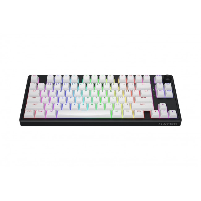 HATOR Skyfall 80 MAG ULTRA 8K keyboard Gaming USB QWERTY US English Black, White HATOR Skyfall 80 MAG ULTRA 8K keyboard Gaming USB QWERTY US English Black, White