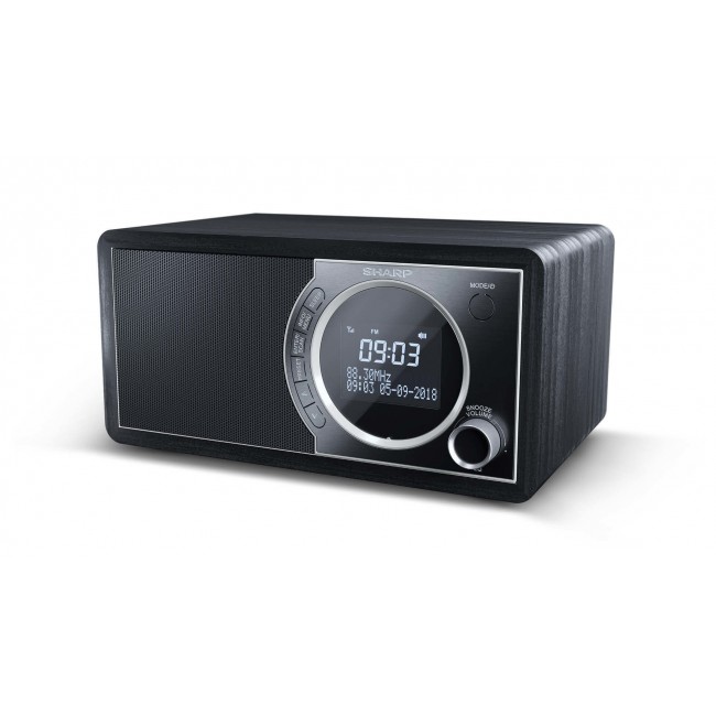 Sharp DR-450 Personal Digital Black, Stainless steel
