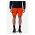 Szorty męskie ROSSIGNOL Sidelhorn Short 7