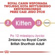 Royal Canin British Shorthair Kitten cats dry food 2 kg Poultry, Rice, Vegetable