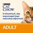 PURINA Cat Chow Chicken, Zucchini - wet cat food - 10x85 g
