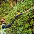 18V XR Pole Shears 55, Boom up to 3.35m, Cardboard