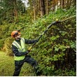18V XR Pole Shears 55, Boom up to 3.35m, Cardboard