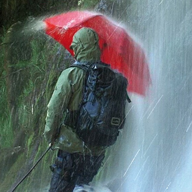 EuroSCHIRM Birdiepal outdoor Red Fiberglass Polyamide Full-sized Rain umbrella