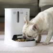 Petkit YumShare Dual-Hopper Feeder w. Camera