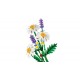 LEGO BOTANICALS 11508 Daisies