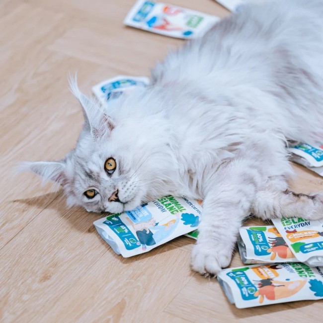 ANIMAL ISLAND White fish in broth - wet cat food - 40x85g