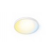 Philips Valen Ceiling Light 22W