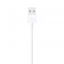 Apple Lightning to USB Cable (1m)
