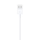 Apple Lightning to USB Cable (1m)