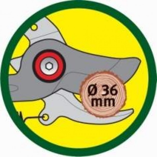 WOLF-Garten RR-VM WOLF-Garten RR-VM