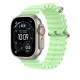 Apple Natural Titanium Finish Band Green Fluoroelastomer, Titanium Apple Natural Titanium Finish Band Green Fluoroelastomer, Titanium