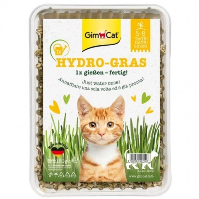 GIMCAT Hydro-Gras Grass cat treat 150g