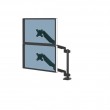 Fellowes Platinum Series Dual Stacking Monitor Arm - Monitor Mount for Two 8KG 27 Inch Screens - Adjustable Dual Monitor Desk Mount - Tilt 45 Pan 180 Swivel 360 Rotation 360 , VESA 75 x 75/100 x 100 - Black