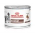 ROYAL CANIN Recovery - Wet dog and cat food - 195g