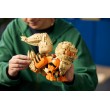 LEGO POK MON 72160 Arcanine LEGO POK MON 72160 Arcanine