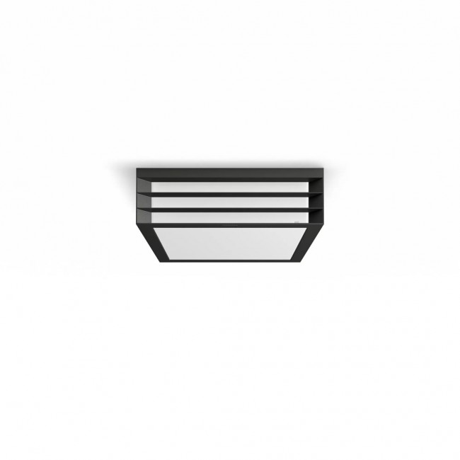 Ceiling fitting Moonshine anthracite fixture
