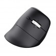Trust Vyran mouse Universal Right-hand RF Wireless + Bluetooth Optical 4800 DPI