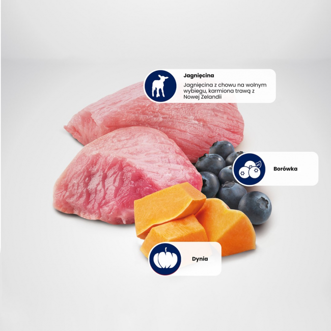 FARMINA N&D DOG LAMB&PUMPKIN&BLUEBERRY PUPPY 285g