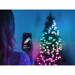 Twinkly Strings 750 RGB Christmas lights, black cable, plug type F Twinkly Strings 750 RGB Christmas lights, black cable, plug type F