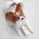 VETEXPERT Immune System - immune support preparation for dogs and cats - 30 caps.