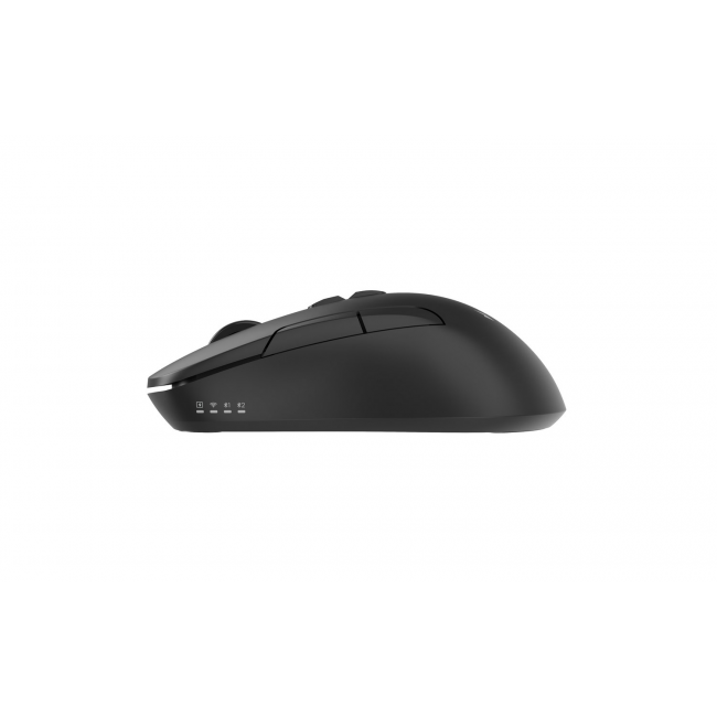Gembird MUSW2-7B-01 Dual-mode wireless mouse (2.4G + BT), 1600 DPI, 7-button, black