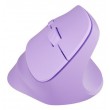 NATEC Crake 2 mouse Universal Right-hand RF Wireless + Bluetooth Optical 2400 DPI