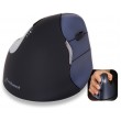 Evoluent VM4RW mouse RF Wireless Laser