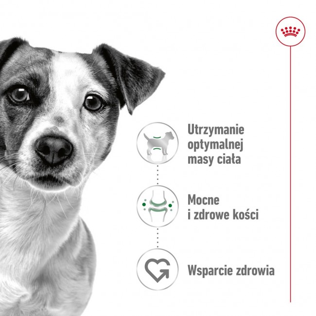 ROYAL CANIN Adult Mini S - dry dog food - 2kg ROYAL CANIN Adult Mini S - dry dog food - 2kg