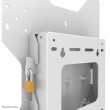 Neomounts WL85-515WH16 TV wall mount 55-75