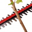 18V GP-CH 18/50 LI BL-SOLO 3410950 EINHELL hedge trimmer