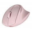 HP Tilt Ergo PNK MSE 720M EMEA-INTL EN L mouse Home Right-hand RF Wireless + Bluetooth 6000 DPI HP Tilt Ergo PNK MSE 720M EMEA-INTL EN L mouse Home Right-hand RF Wireless + Bluetooth 6000 DPI