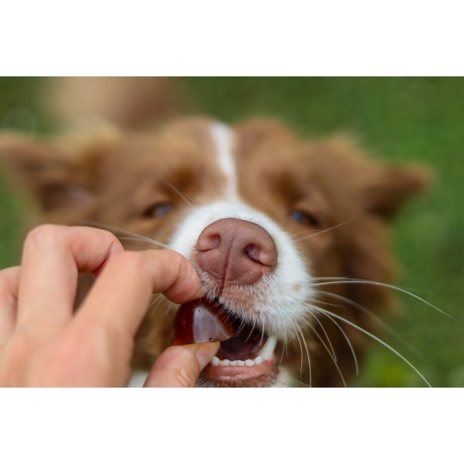 GELOREN Large dog Joints - dog vitamins - 420g GELOREN Large dog Joints - dog vitamins - 420g