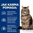 HILL'S PD Gastrointestinal Biome - dry cat food - 1,5 kg