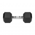 REBEL ACTIVE Hantle eliwne gumowane 2x10 kg