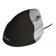 Evoluent VM3R mouse Universal Right-hand USB Type-A Optical 2600 DPI