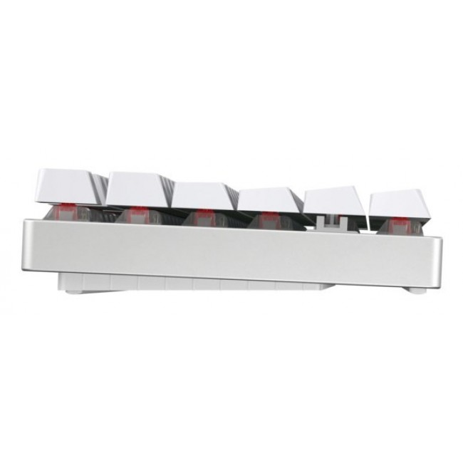 CHERRY MX 8.2 TKL Wireless RGB keyboard Gaming USB + RF Wireless + Bluetooth QWERTZ German White